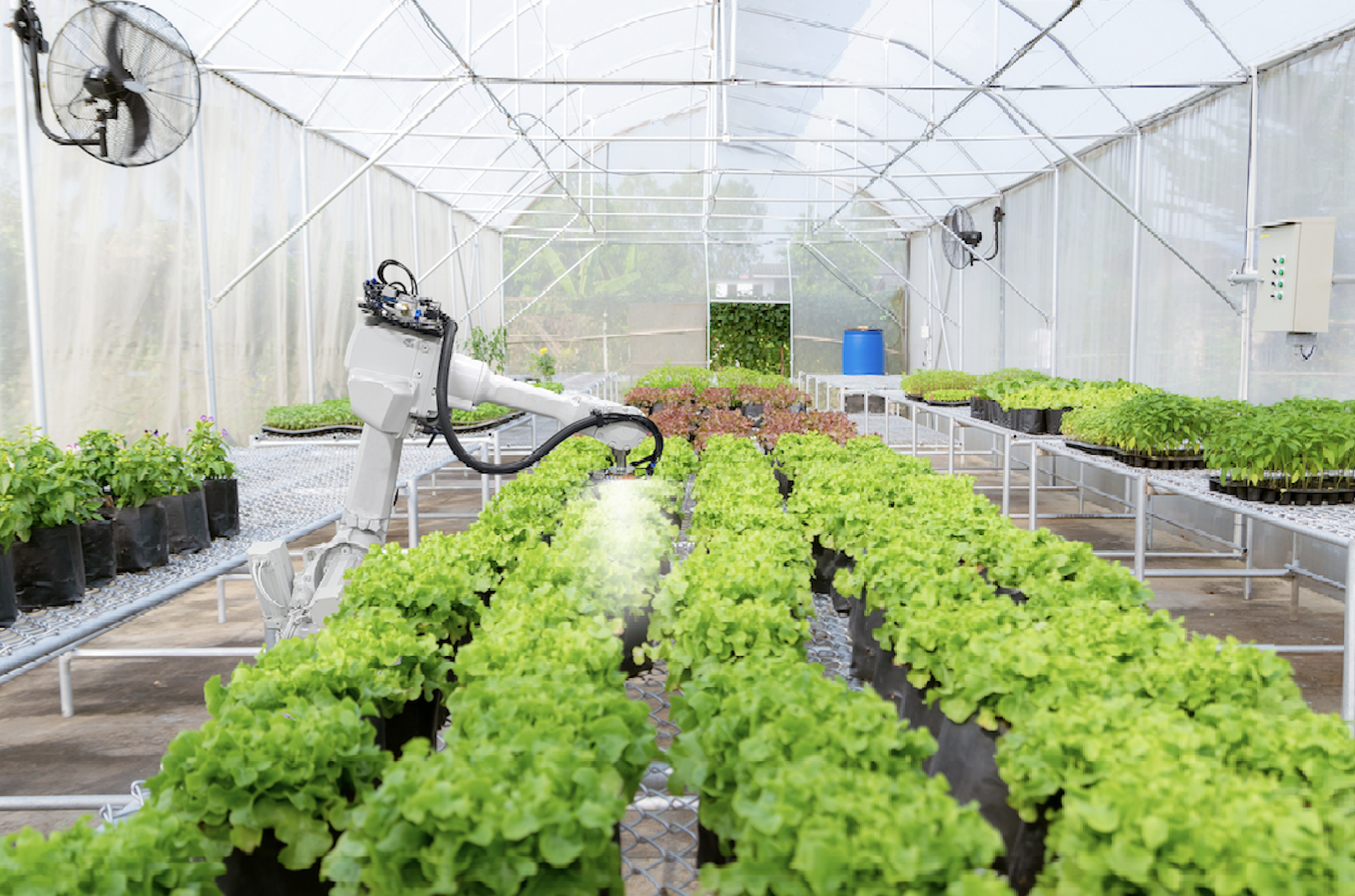 光合有效輻射測量 